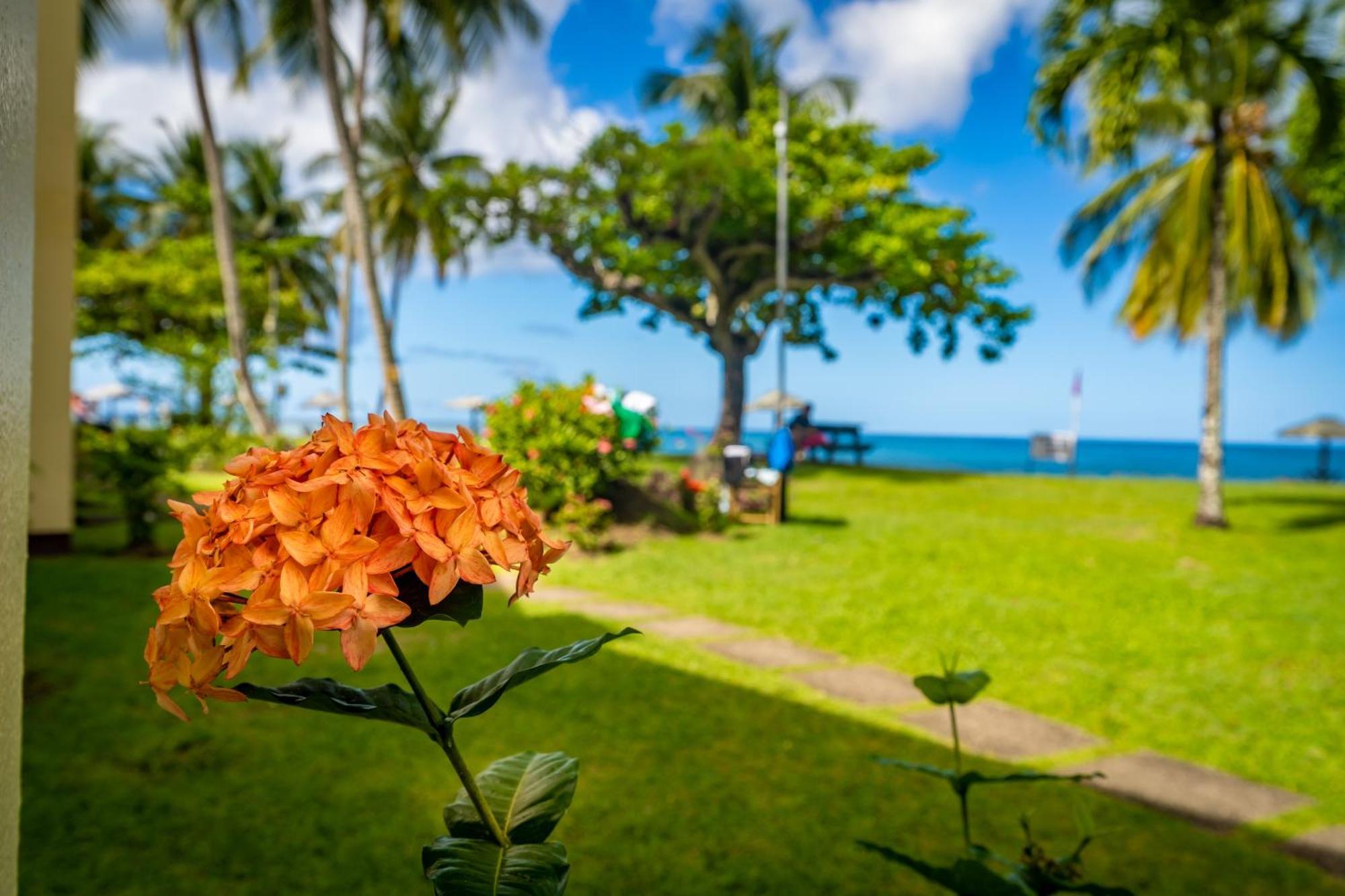 Hotel Starfish Tobago Black Rock Exterior foto